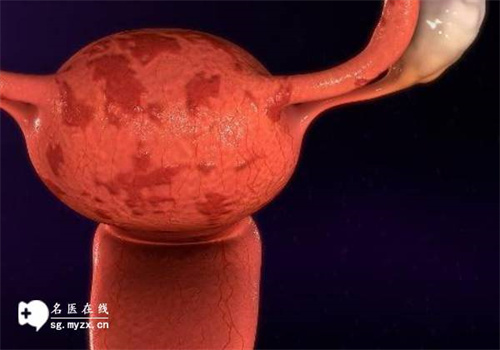 北京代怀生男孩机构：﻿2023吉林中西医结合医院试管婴儿完整攻略手册，附成功率参考